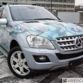 Glamour cars of Russia
