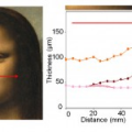 New light on Leonardo Da Vinci’s faces