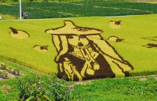 rice9 Amazing rice art in Japan