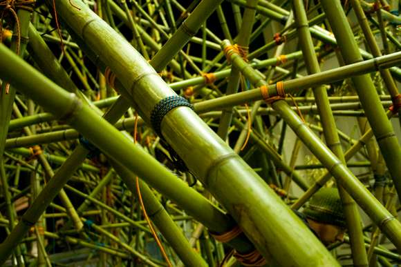 34 Big Bambu, Amazing Artistic Installation Made by Beacon Duo