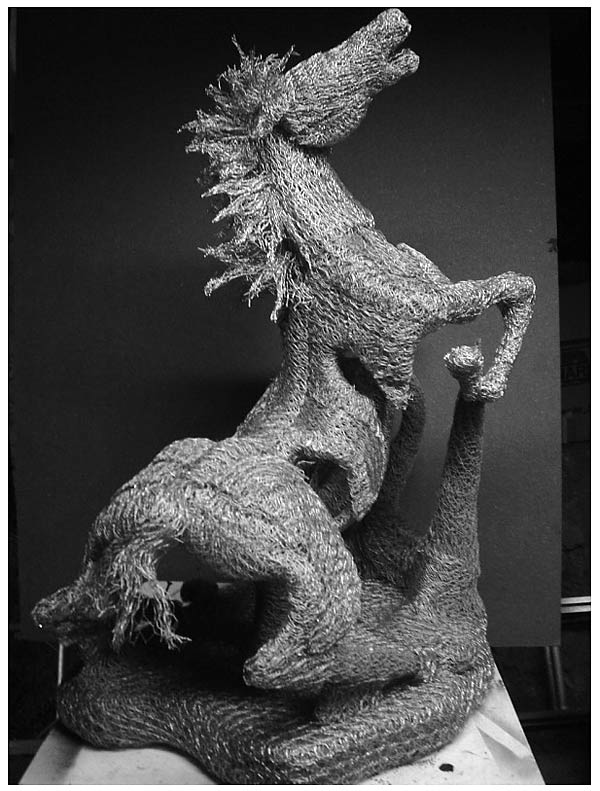 0002 Chicken Wire Sculptures