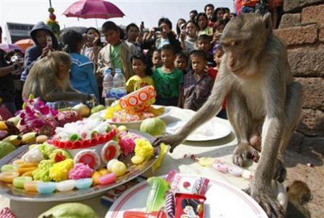 Monkey Buffet Festival 20 Worlds Craziest Festivals